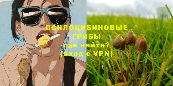 Альфа ПВП Алзамай