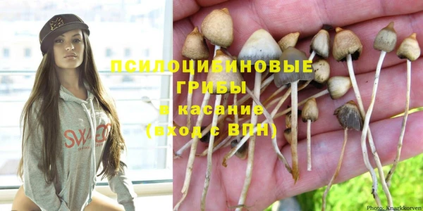 прущая мука Алексин