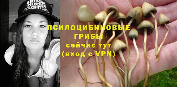 ALPHA PVP Алексеевка