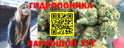 наркотики Новозыбков