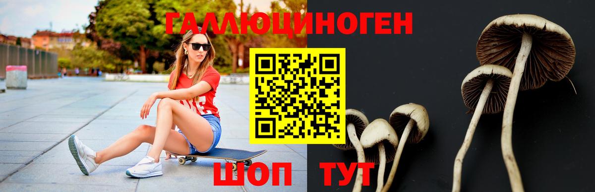 Тихвин  Галлюциногенные грибы Cubensis  Вход с VPN 